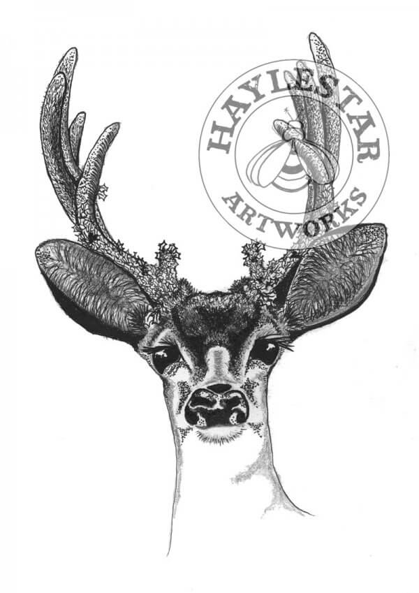 Deer Signed Original Print