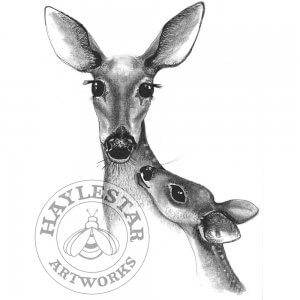 Deer & Foal Signed Original Print