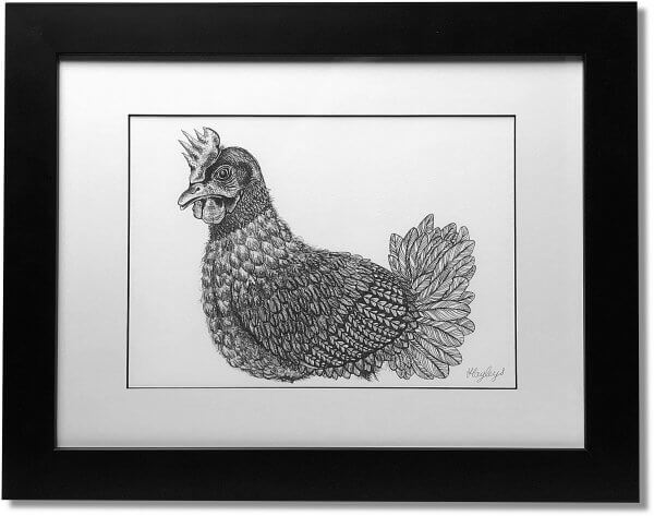 Chicken Signed Framed Original Print