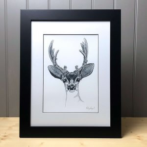Deer Signed Framed Original Print