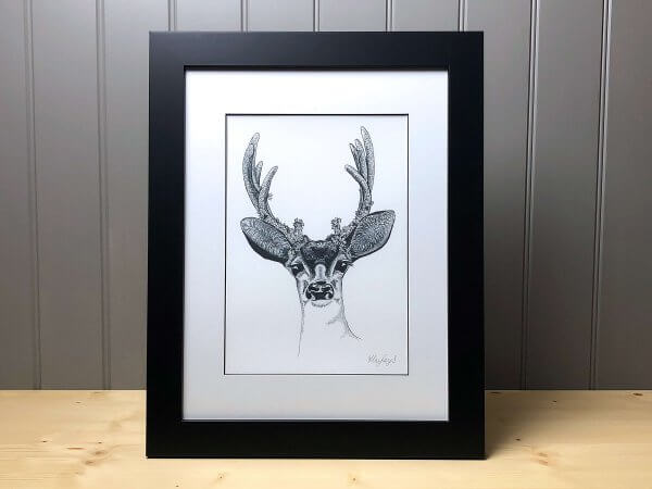 Deer Signed Framed Original Print