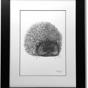 Hedgehog Signed Framed Original Print