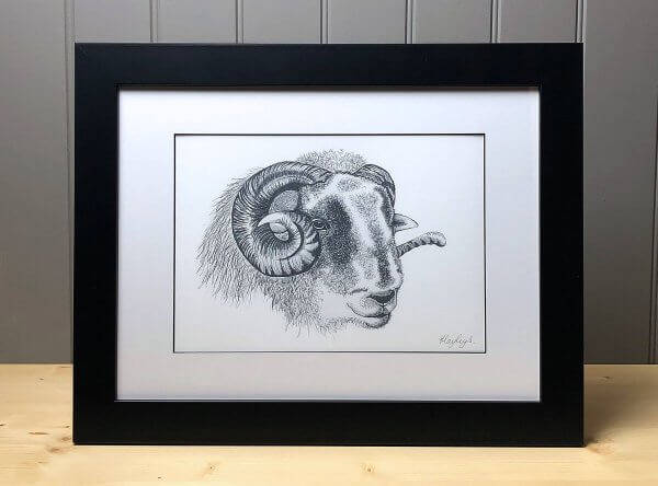 Herdwick Sheep Signed Framed Original Print