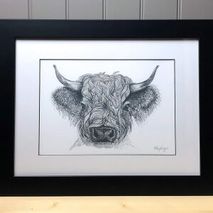 Highland Cattle Signed Framed Original Print