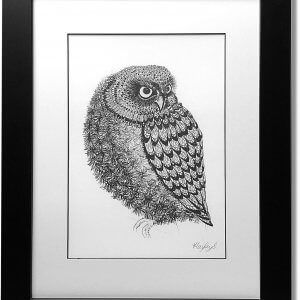 Owl Signed Framed Original Print