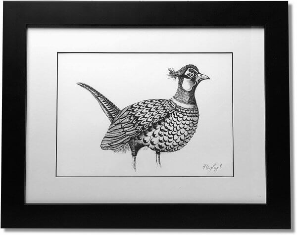 Pheasant Signed Framed Original Print