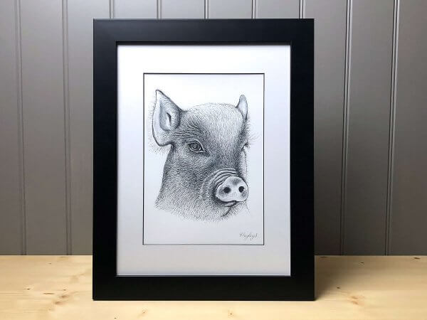 Pig Signed Framed Original Print