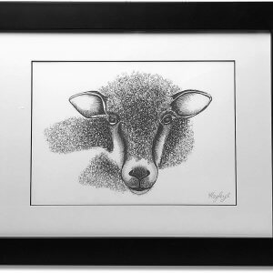 Sheep Signed Framed Original Print