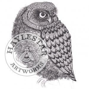 Owl Signed Original Print