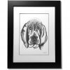 Bloodhound Signed Framed Original Print