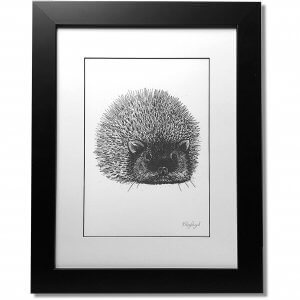 Hedgehog Signed Framed Original Print