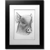 Pig Signed Framed Original Print