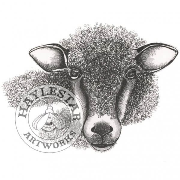 Sheep Signed Original Print