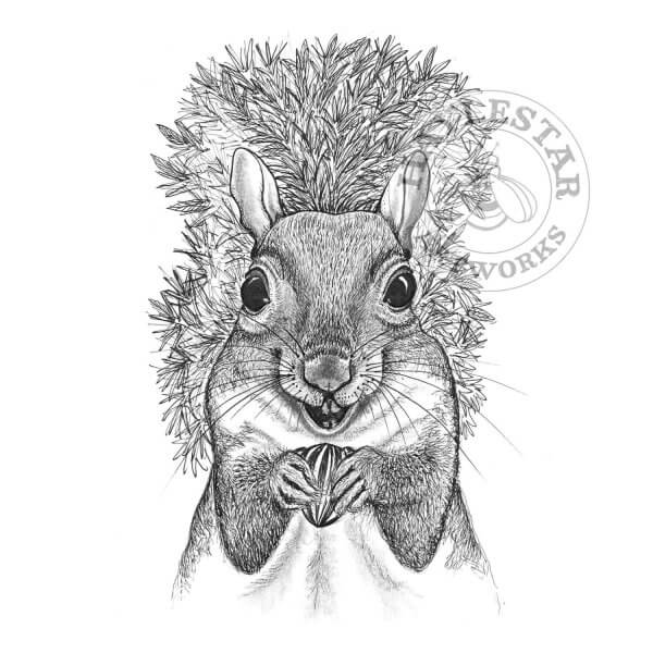 Squirrel Signed Original Print
