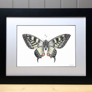 Hand Coloured Butterfly Signed Original Print