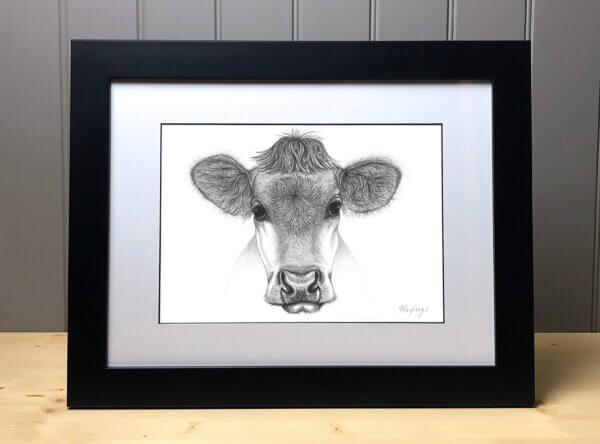 Cow Signed Original Print