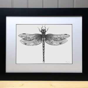 Dragonfly Signed Original Print