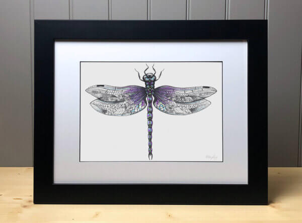 Hand Coloured Dragonfly Signed Original Print