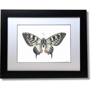 Hand Coloured Butterfly Signed Original Print