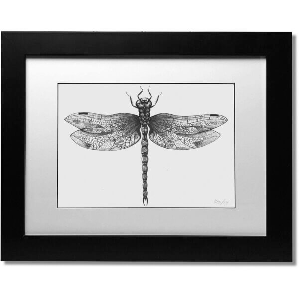 Dragonfly Signed Original Print
