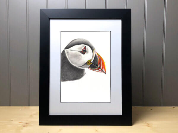 Framed Colour Puffin